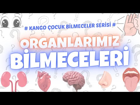 Çocuklar İçin Bilmeceler ve Cevapları: Vücudumuz Organlarını Tanıyalım