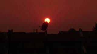 Johnny Cash- I Don&#39;t Hurt Anymore(cover)