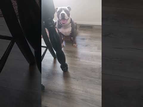 Sly needs patience when I'm working