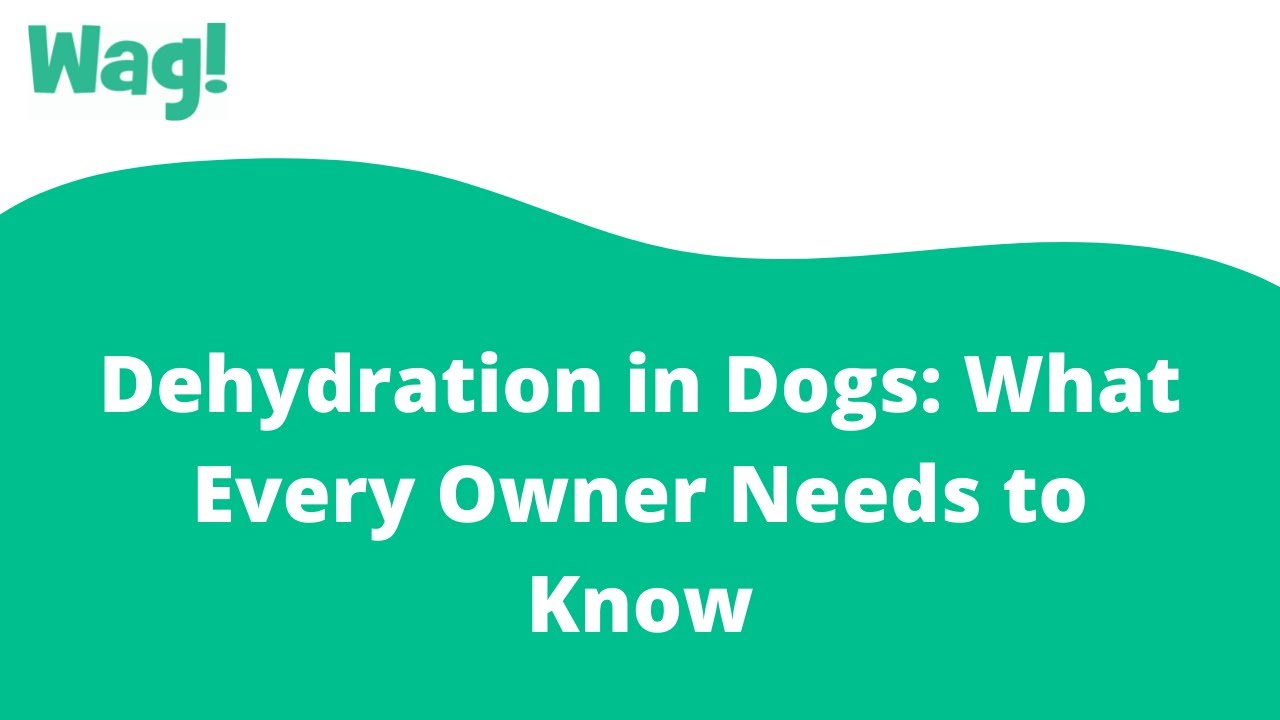 YouTube video preview