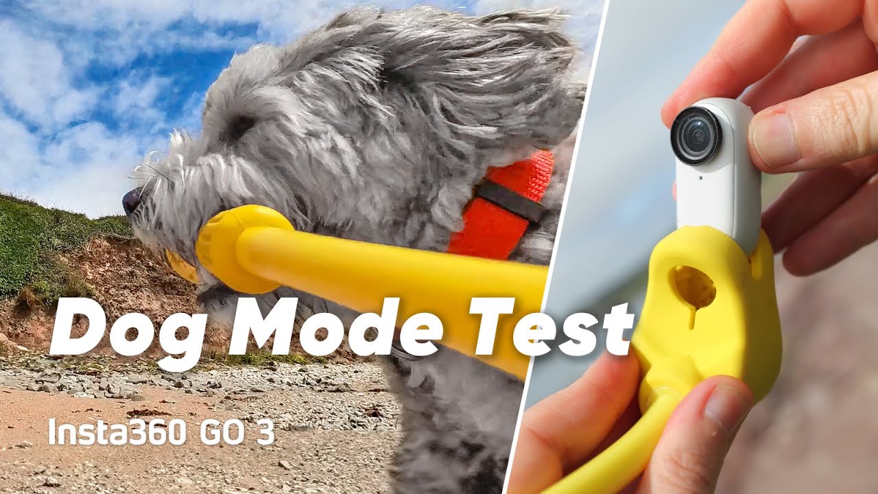 Insta360 GO 3 - Testing the Best Pet Action Cam (ft. LearnOnlineVideo)