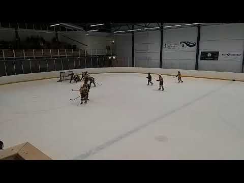 Ilves Colorado ja ilves Detroit