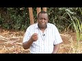 Elphas Kolia Director Of The Tabaka Mission Hospital In Africa Shares His Seqex Experience