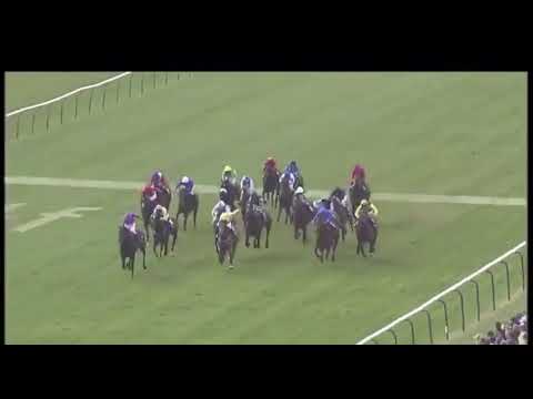 Rebel Rebel 2nd, 2000 Guineas 2005