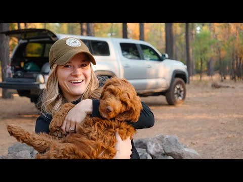 State of the Channel | Tessah Booth - Learn Along With Me