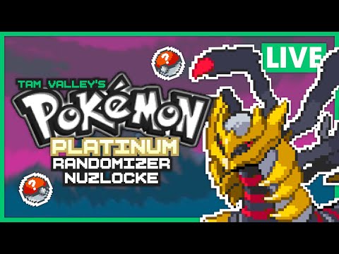 🔴 Elite Four Preparations! | Pokémon Platinum Randomizer Nuzlocke