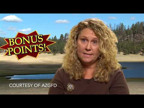 The Arizona Big Game Draw EXPLAINED!