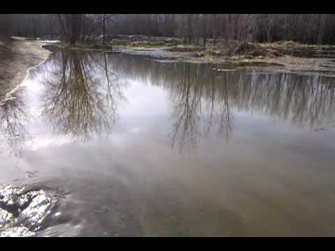 video-2010-03-18-16-41-54.3gp