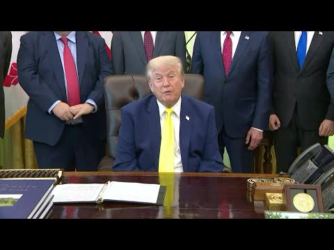 Video Thumbnail: Trump says would be 'great' for Putin, Zelensky to meet | AFP