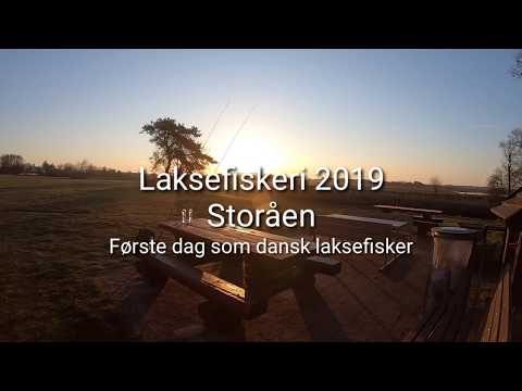 Laks på 94 cm. fra Storåen 2019