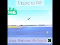 Tribute To PAF Junaid Jamshaid