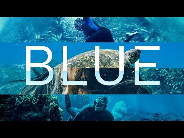 BLUE: The Day The Sea Changed
