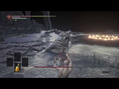 DARK SOULS™ III saitama vs champ gundy