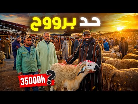 🔥 أثمنة الخروف في سوق حد البروج اليوم 🇲🇦 | عيد الأضحى2026/04/26 صدمة الأسعار