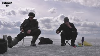 Ссылка