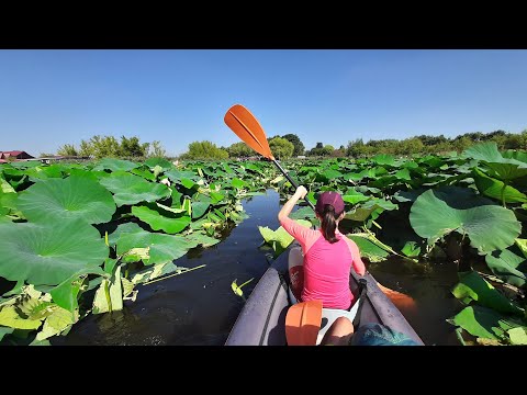 Kayak on Snagov lake