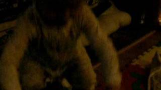 Sophie pretending with Sydney