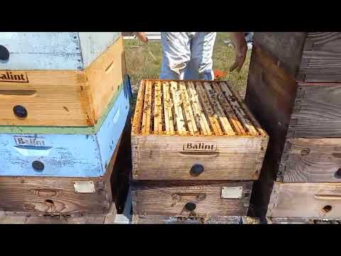 Nova tehnika ovog puta 3 u 1.