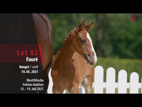 Westfälische Fohlen-Auktion Lot 2 Fauré Hengst v. For Pleasure - Cristallo I