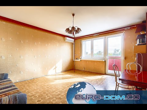 Miniatura filmu