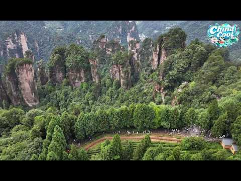 Live: Exploring Zhangjiajie National Forest Park, a cool escape amid towering peaks