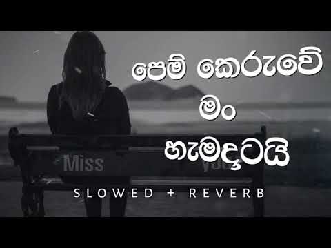 පෙම් කෙරුවේ මං හැමදාටයි | Mage Patiyo | මගෙ පැටියෝ | Slowed Reverb #relax_sr_studio