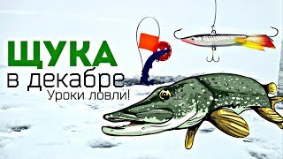 Как правильно ловить щуку в декабре
