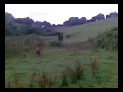 Facebook   Hannah Mitchell