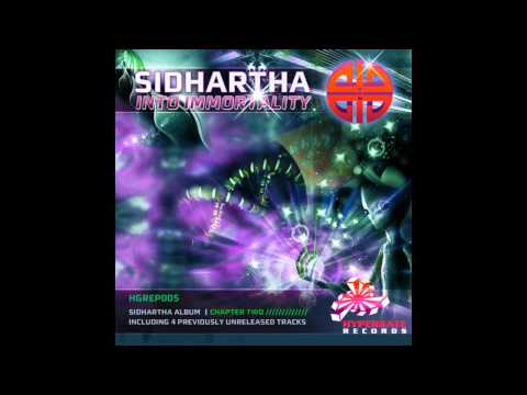 Sidhartha vs Symmetric - Time Is Your Illusion