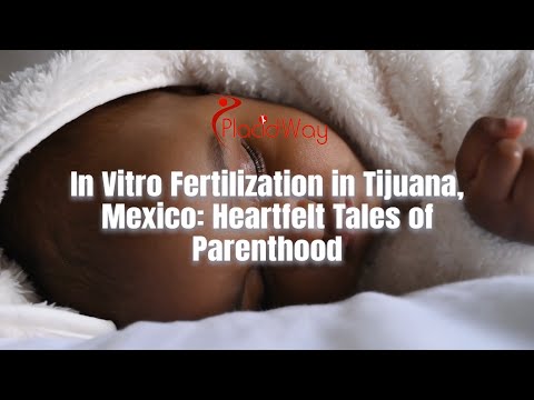 In Vitro Fertilization in Tijuana, Mexico: Heartfelt Tales of Parenthood