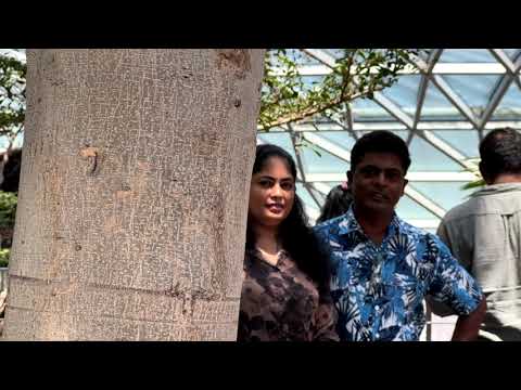 Lassana desak  ලස්සන දෑසක් - මිල්ටන් මල්ලවාරච්චි