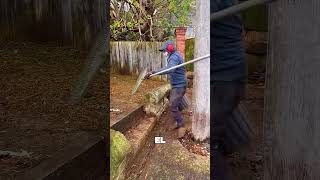 Download lagu 🏚️ ¡Así gana $30/h limpiando casas abandonadas! La transformación es increíble 🧼 mp3 Download lagu 🏚️ ¡Así gana $30/h limpiando casas abandonadas! La transformación es increíble 🧼 mp3