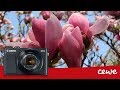 Digitálny fotoaparát Canon PowerShot G9X Mark II