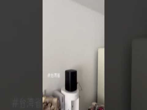 口音太重的話小爱你能懂我嗎？￼ #台灣 #小愛同學