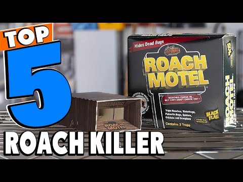 Top 5 Best Roach Killer Review In 2024