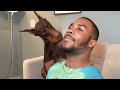 These Funny Dogs Will Make You Laugh Out Loud Best Dog Videos
