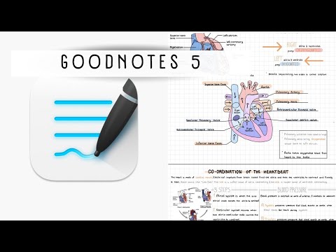 TUTO GOODNOTES 5 ✨( dossiers, police d’écriture aesthetic ) #backtoschool