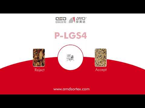 AMD® P LGS4 AI Sorting Walnut Kernel Meats Removing Shell and Discolored #AI tech#deep learning tech