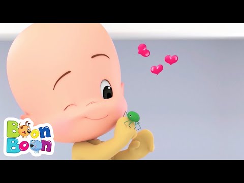 Povestea unui Micuț Paianjen 🕷️🕸️ Cântece pentru Copii | BoonBoon