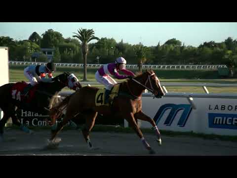 220108 c10 - DELFINITA - HIPODROMO LAS PIEDRAS