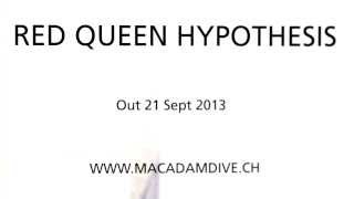 Macadam Dive | Red Queen Hypothesis TRAILER