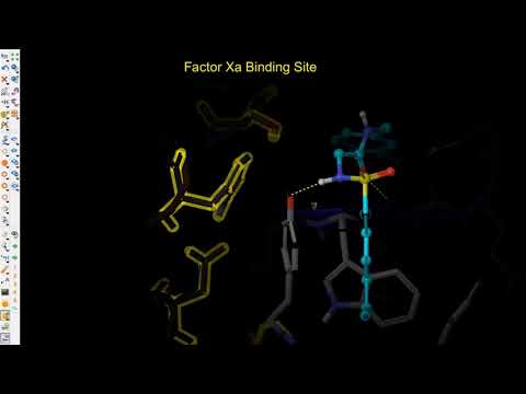 Schrödinger tutorials：Maestro annotate images