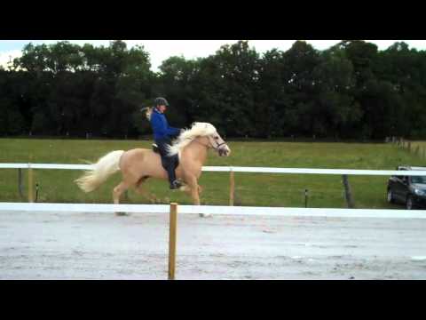 OSI Hirtenhof - Passrennen - www.isibless.de