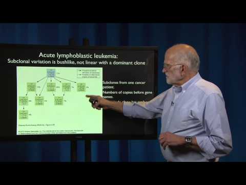 6.4 - Cancer: Phylogenetic insights