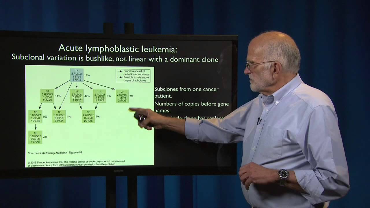 Cancer: Phylogenetic Insights