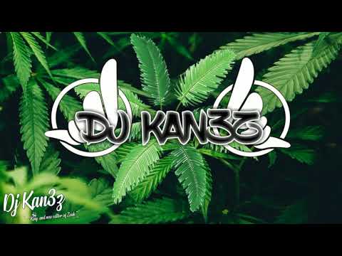 DJ KAN3Z X MARTIN JONDO -  Little closer (Reggae MIX 2019)
