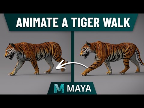 Tiger Walk Cycle Animation Tutorial [Step by Step] (All Parts)