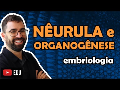 Neurula and Organogenesis (Embryology) - Class 04 - Module VI: Zoology | Prof. Guilherme