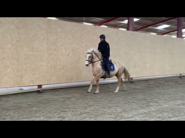 Marquis de l'&eacute;tang