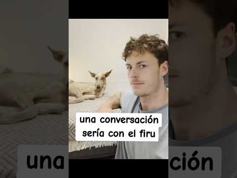 Te Dejó En Visto 🤣😂 #shorts #perros #animales #risas #doblaje